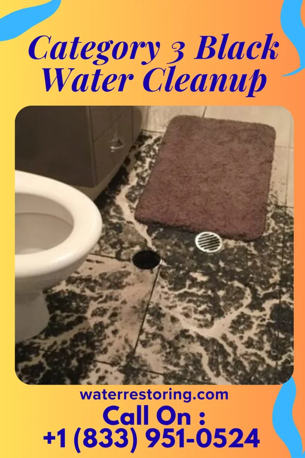 Category 3 Black Water Cleanup in Greenwald, MN