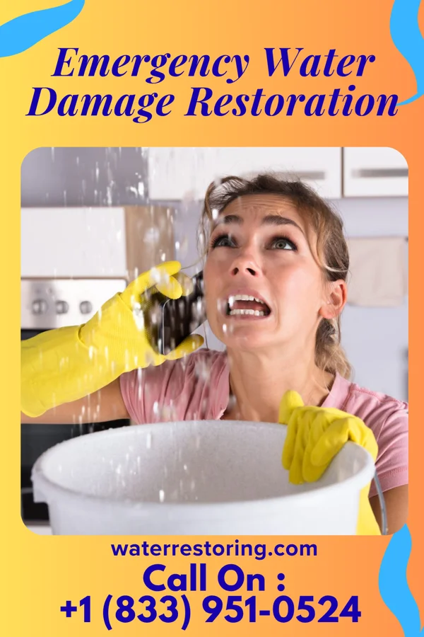 Emergency Water Damage Restoration in Greenwald, MN
