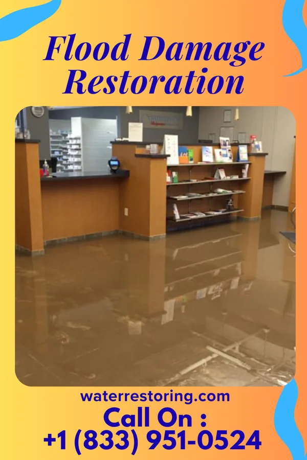 Flood Damage Restoration in Greenwald, MN
