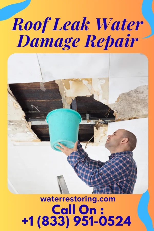 Roof Leak Water Damage Repair in Greenwald, MN