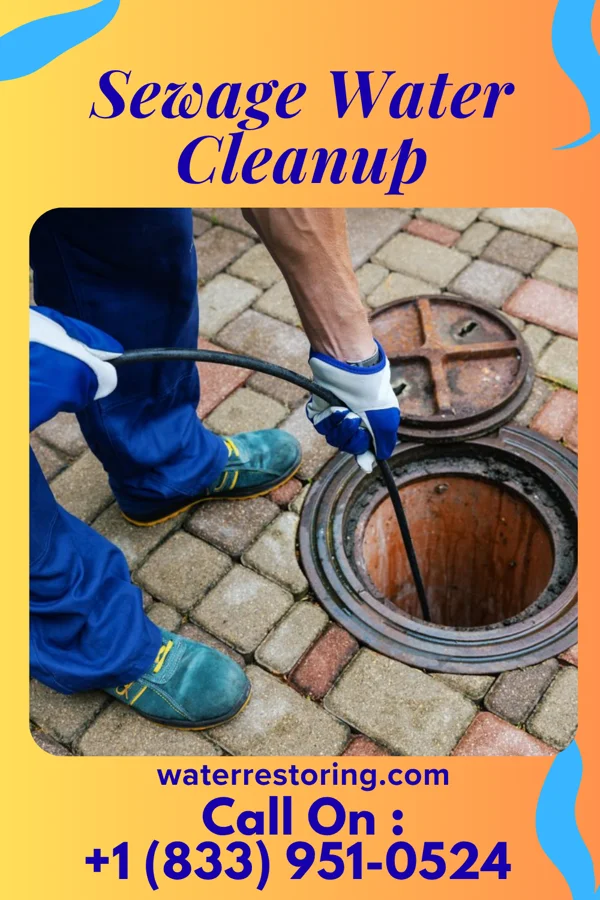Sewage Water Cleanup in Greenwald, MN