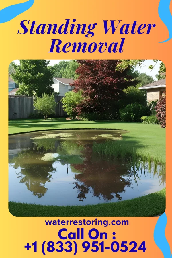 Standing Water Removal in Greenwald, MN